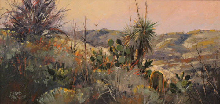 Desert Highland, 12 x 24