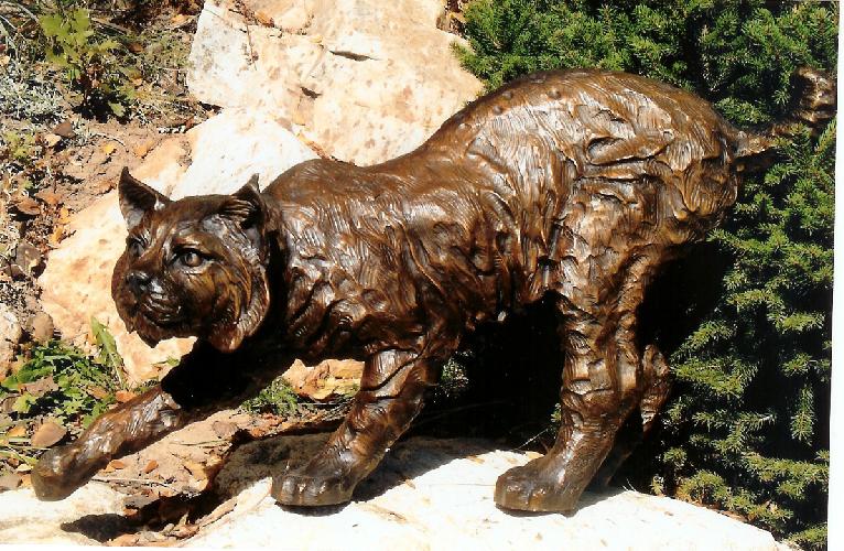 bobcat-lifesize-view