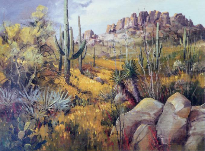 desert-in-bloom1