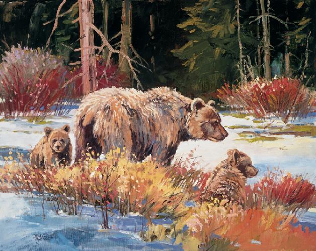 grizzly-mom-and-kids grizzly-mom-and-kids
