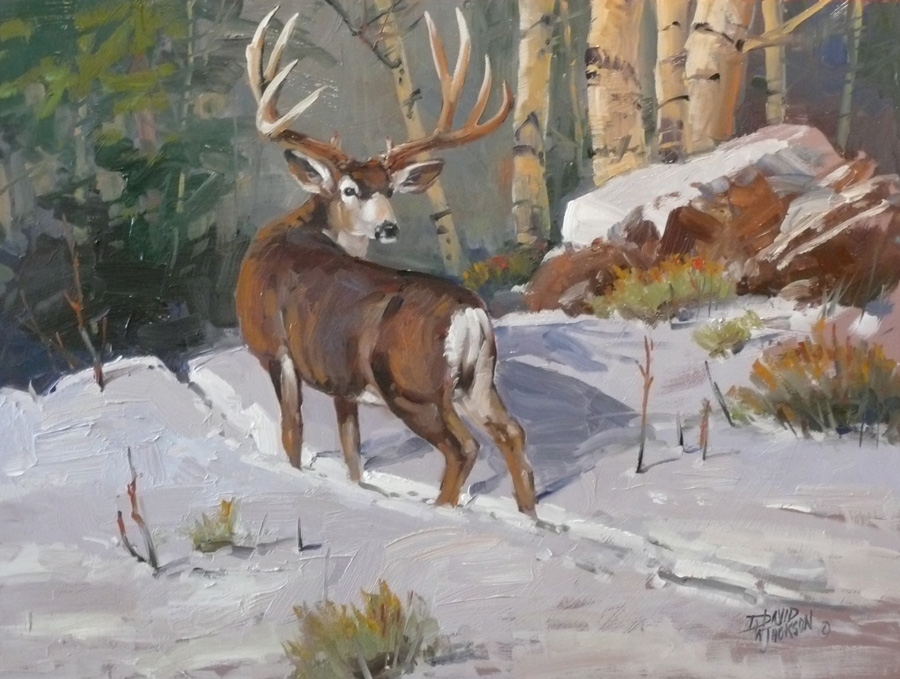 last-look-deer-18-x-24-oil-sold last-look-deer-18-x-24-oil-sold