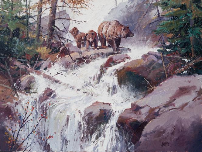 spring-runoff spring-runoff