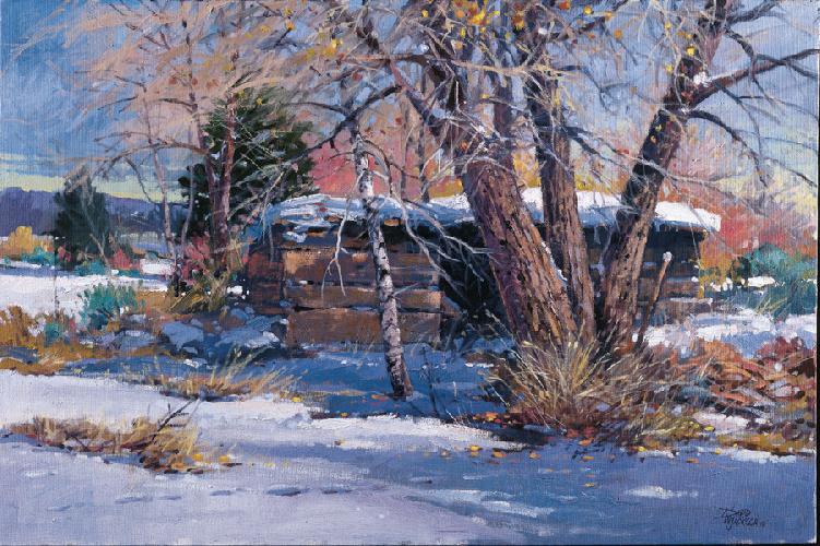 sunlight-on-old-shed