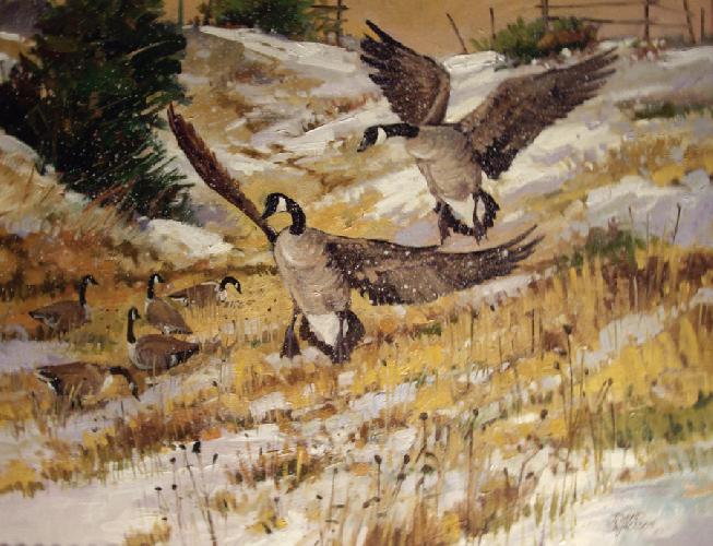 wings-of-winter-24x30-david-jackson