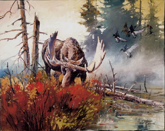 wyoming-bruiser wyoming-bruiser