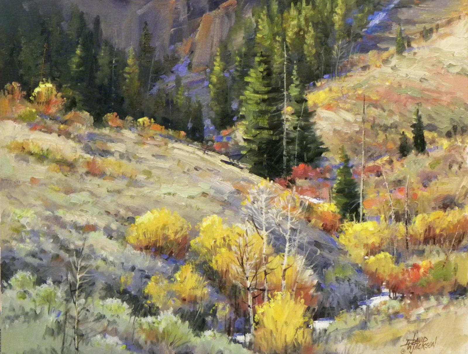 colorado-hillside-24x30