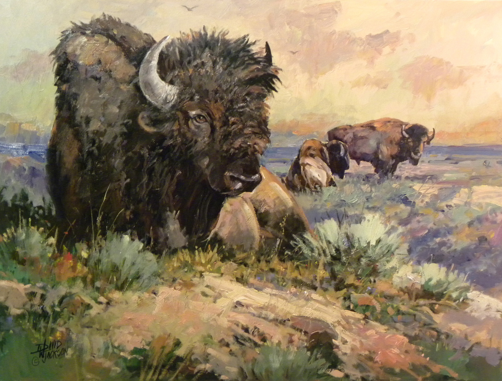 high-plains-royalty-30x40 high-plains-royalty-30x40